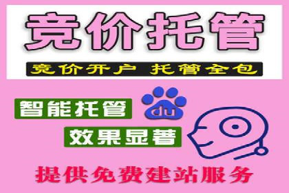 创新广告策略：专业SEM托管的典型案例研究
